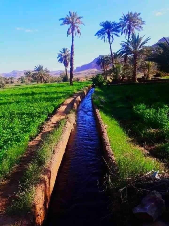 מלון עיט בן האדו Defat Kasbah מראה חיצוני תמונה
